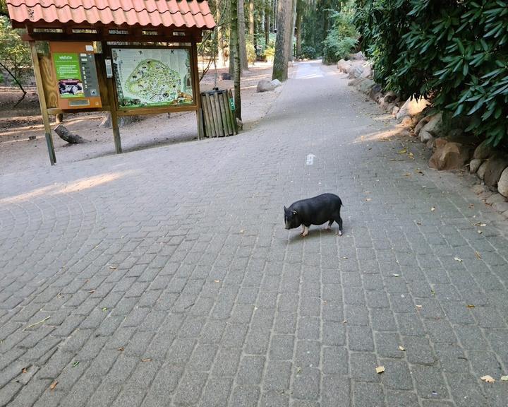 Wildpark-Restaurant Schwarze Berge